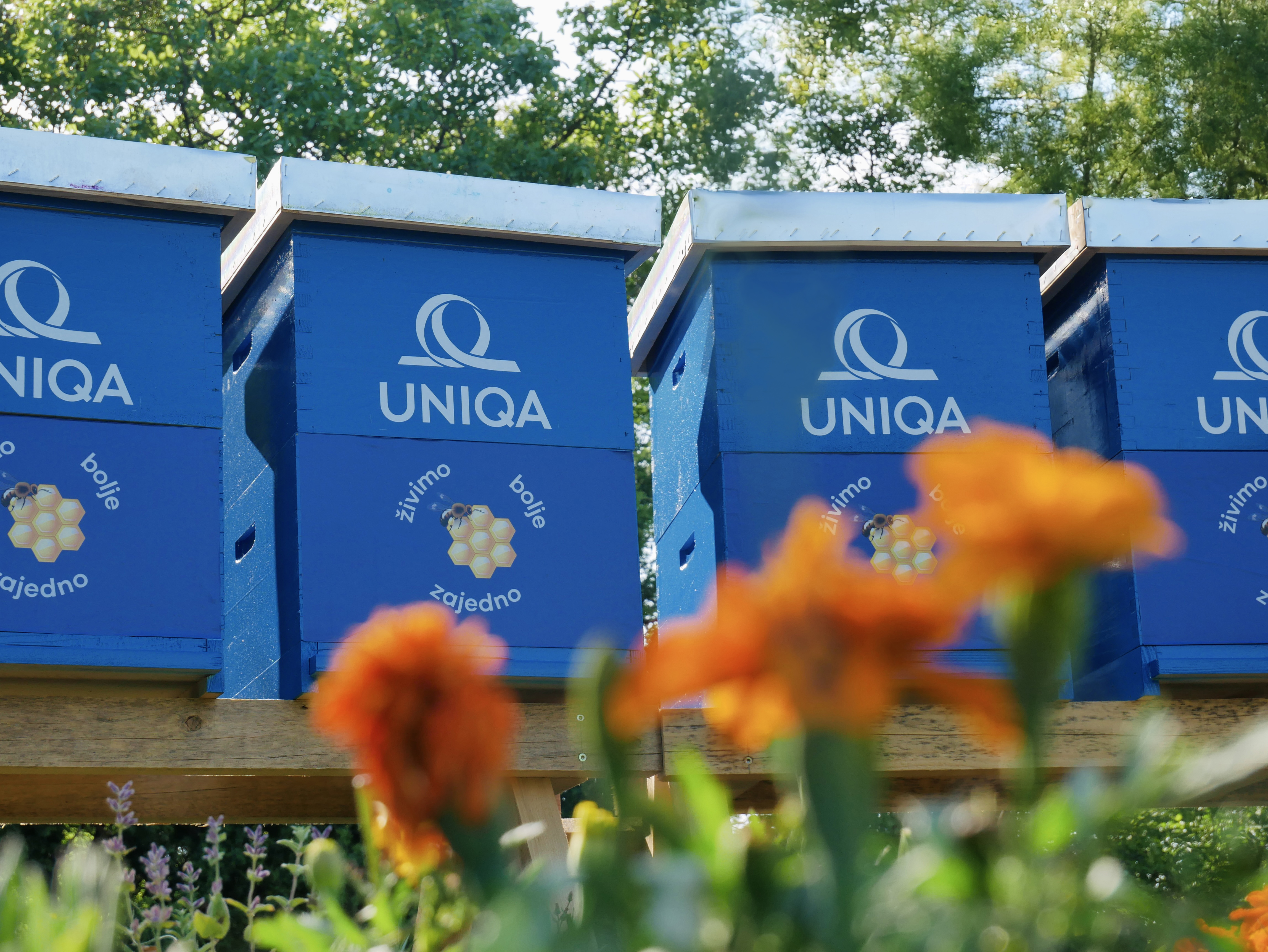 Uniqa